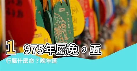 1975 兔 五行|【1975 兔 五行】1975年屬兔，五行屬什麼命？晚年運勢解析